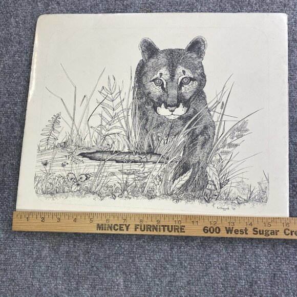 Karen Chappell Vintage Mountain Lion Ink & Pencil on Paper Drawing Signed 1978 - Picture 5 of 11